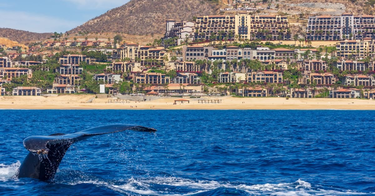 Finding the Best Urgent Care in Cabo San Lucas